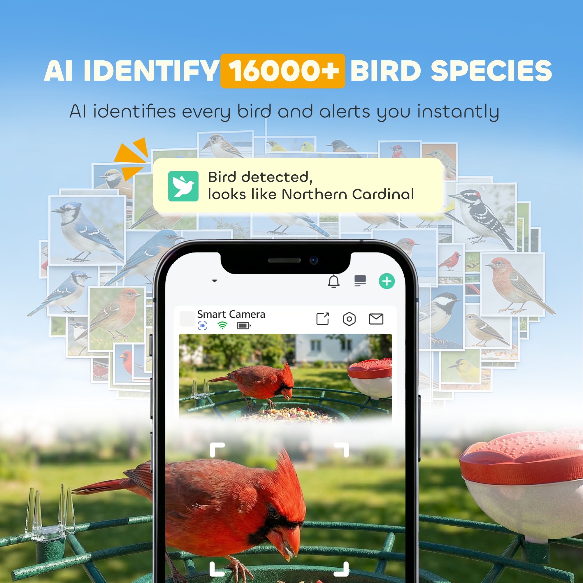 pawhut-mangeoire-oiseaux-connect-e-solaire-3w-avec-cam-ra-2k-ia-16000-esp-ces-et image 6