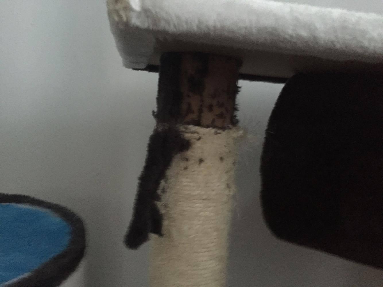 Validé par mon maincoon mdrr