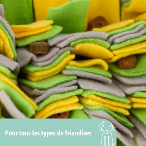kerbl-pet-tapis-renifleur-chien-70x50-cm-jaune-vert-gris image 6
