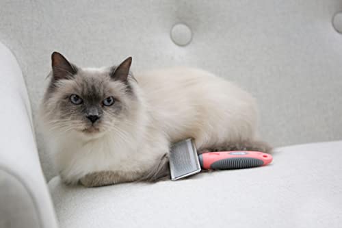 kerbl-carde-douce-corail-gris-16x6-cm-brosse-d-m-lante-chien-chat image 8
