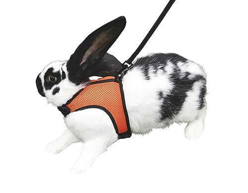 kerbl-harnais-pour-rongeurs-sport-22-30-cm-mesh-avec-laisse-120-cm image 6