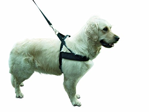 kerbl-pet-harnais-miami-plus-noir-80-100-cm image 6