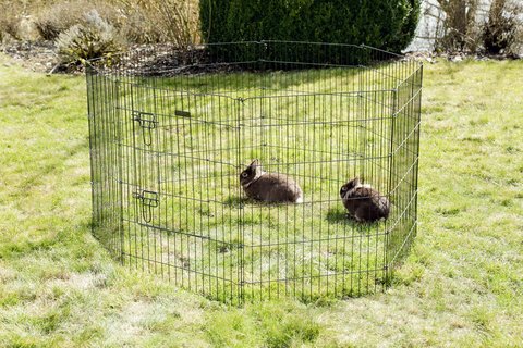 kerbl-pet-enclos-chiots-et-petits-animaux-57x78-cm-8-grilles-avec-porte image 4