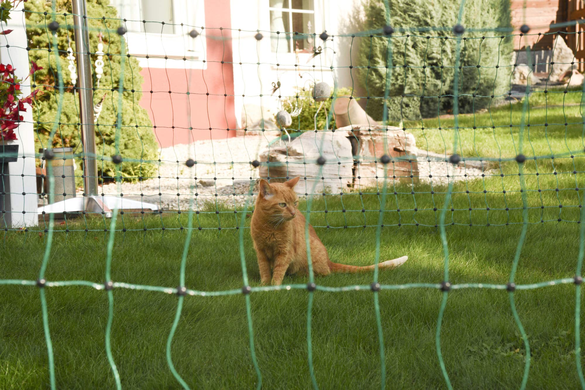 kerbl-filet-anti-chats-vert-25-m-x-77-cm-avec-9-piquets image 4