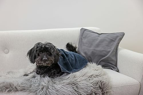 kerbl-pet-serviette-pour-chien-et-chat-en-microfibre-bleue-50-x-60-cm image 6