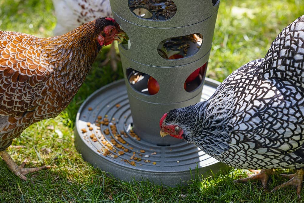 karlie-beeztees-tour-d-alimentation-pour-poules-gris-30-x-30-x-37-cm image 4