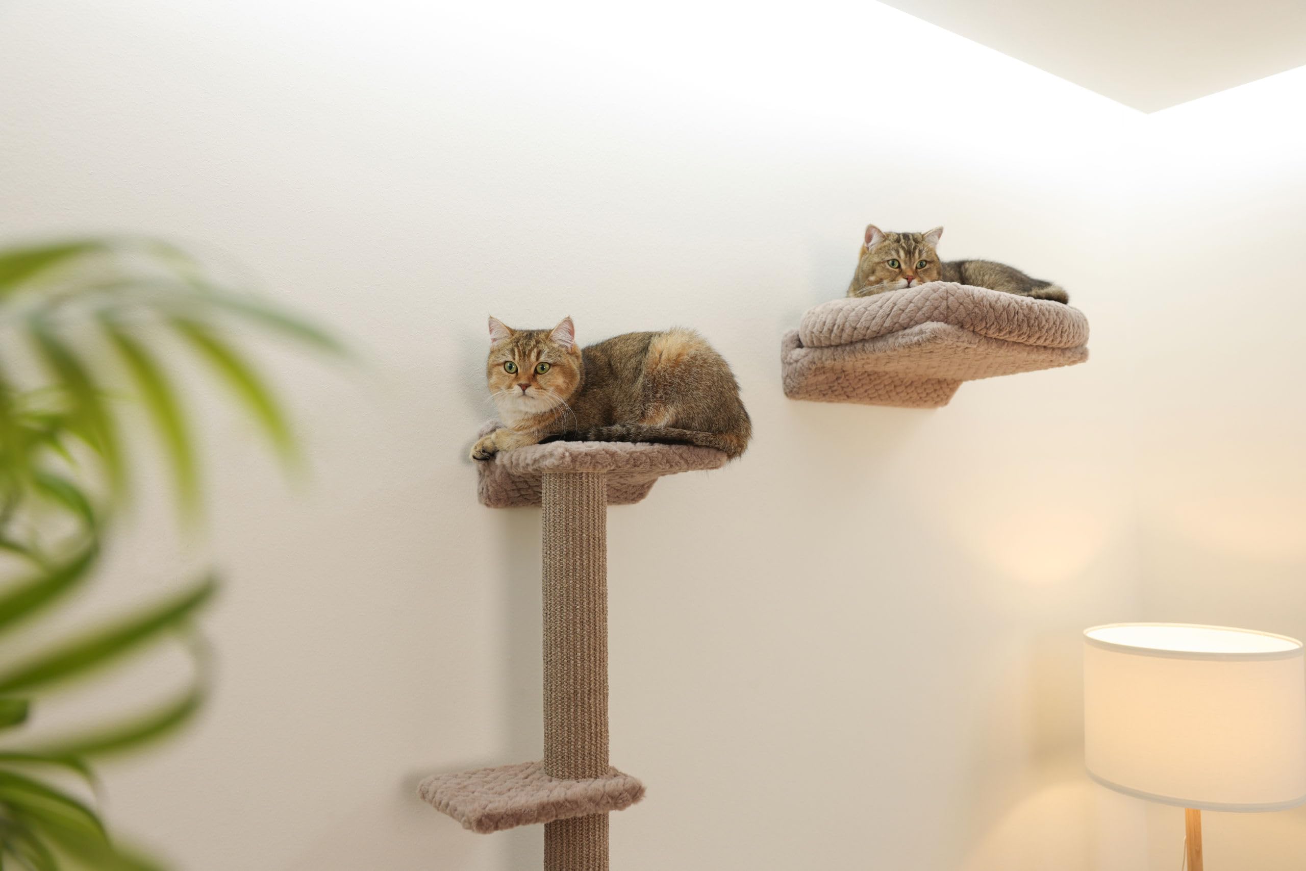 kerbl-pet-monte-alpi-mur-d-escalade-mural-pour-chat-taupe-8-parties-sisal-10-kg- image 5