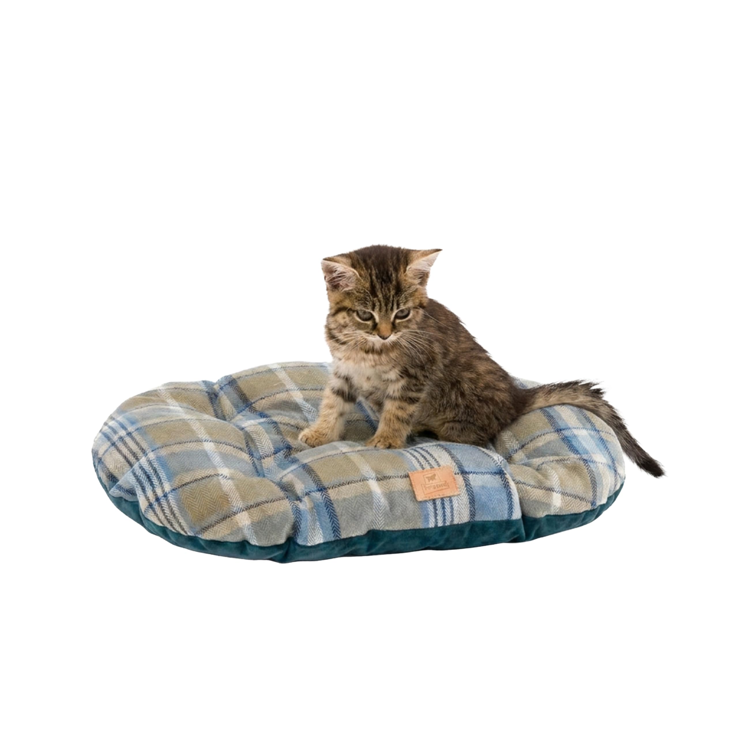 ferplast-scott-45-2-coussin-double-face-chien-chat-cossais-velours-bleu-43x30-cm image 1