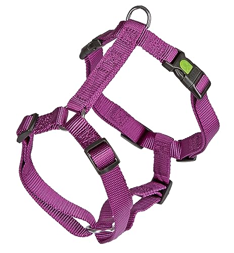 kerbl-miami-harnais-pour-chien-pourpre-34-40-cm-nylon image 3