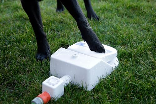 kerbl-pet-fontaine-eau-bubble-25-5-x-18-x-8-cm-blanc-bleu-jet-p-dale-pour-chien image 7