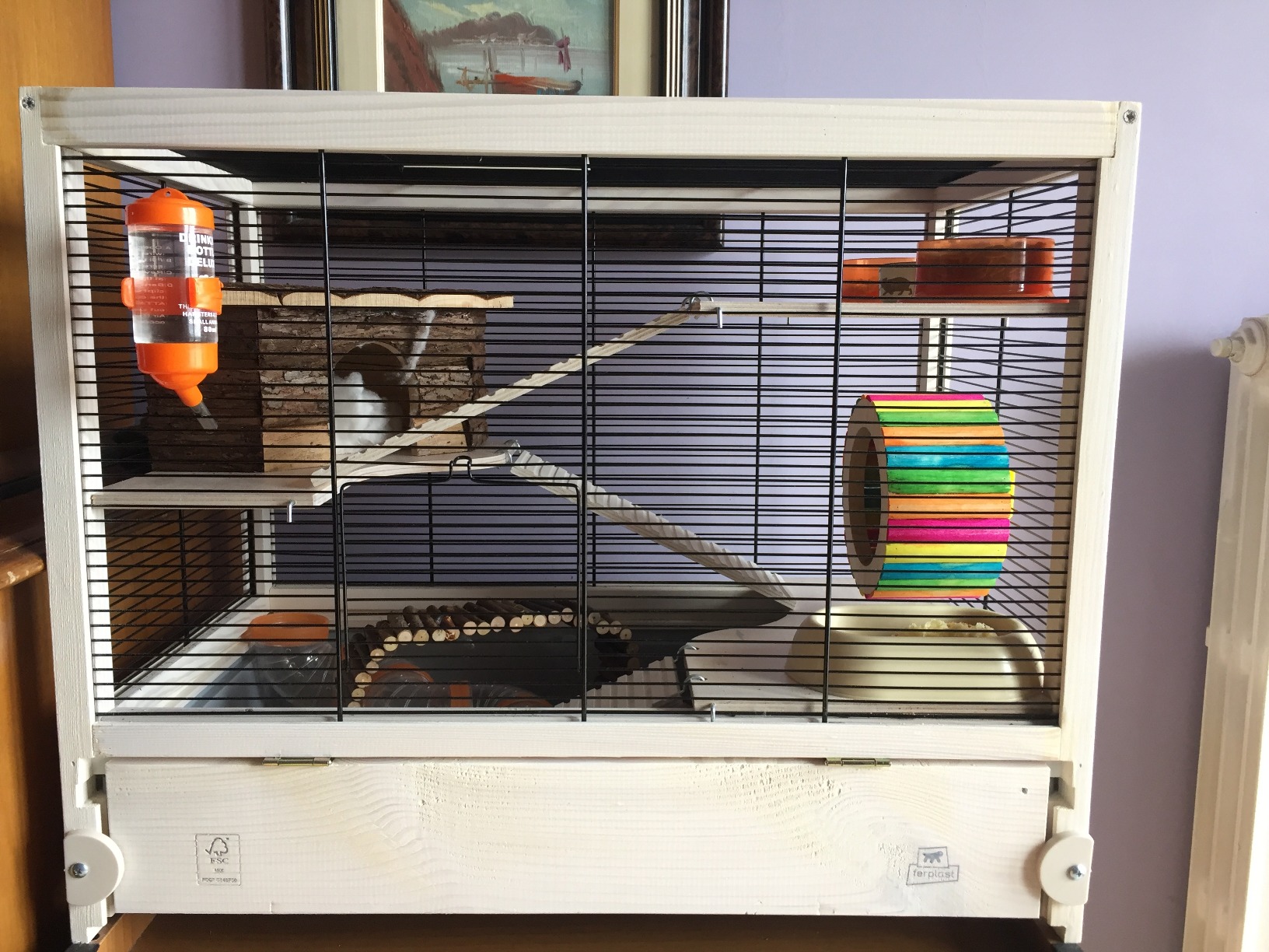 Mon hamster ne s'ennuie plus