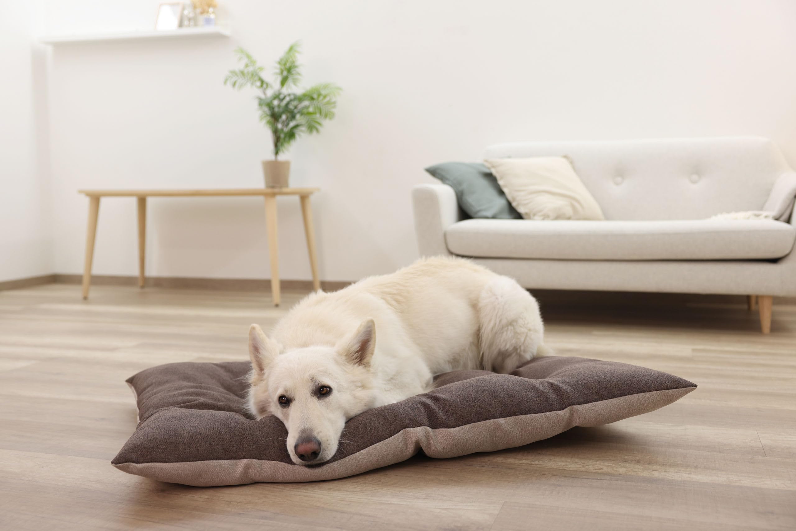 kerbl-pet-coussin-ely-marron-beige-45-x-70-cm image 8
