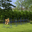 pawhut-kit-agility-chien-6-sauts-barre-r-glable-avec-barre-d-gondable-et-sac-ble image 3