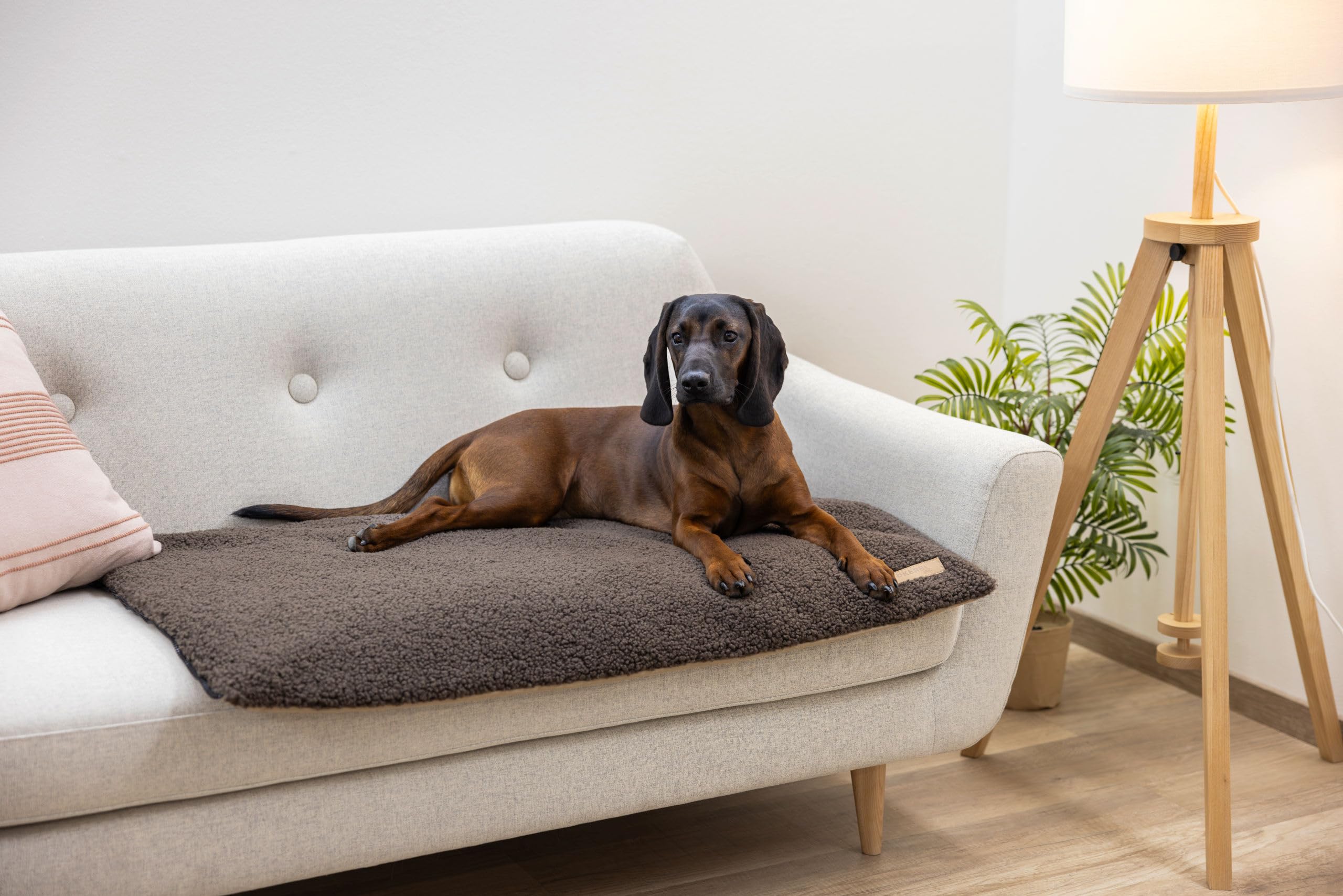 kerbl-pet-matelas-multifonctions-pour-chiens-orthop-dique-120-x-72-x-7-cm-beige- image 7