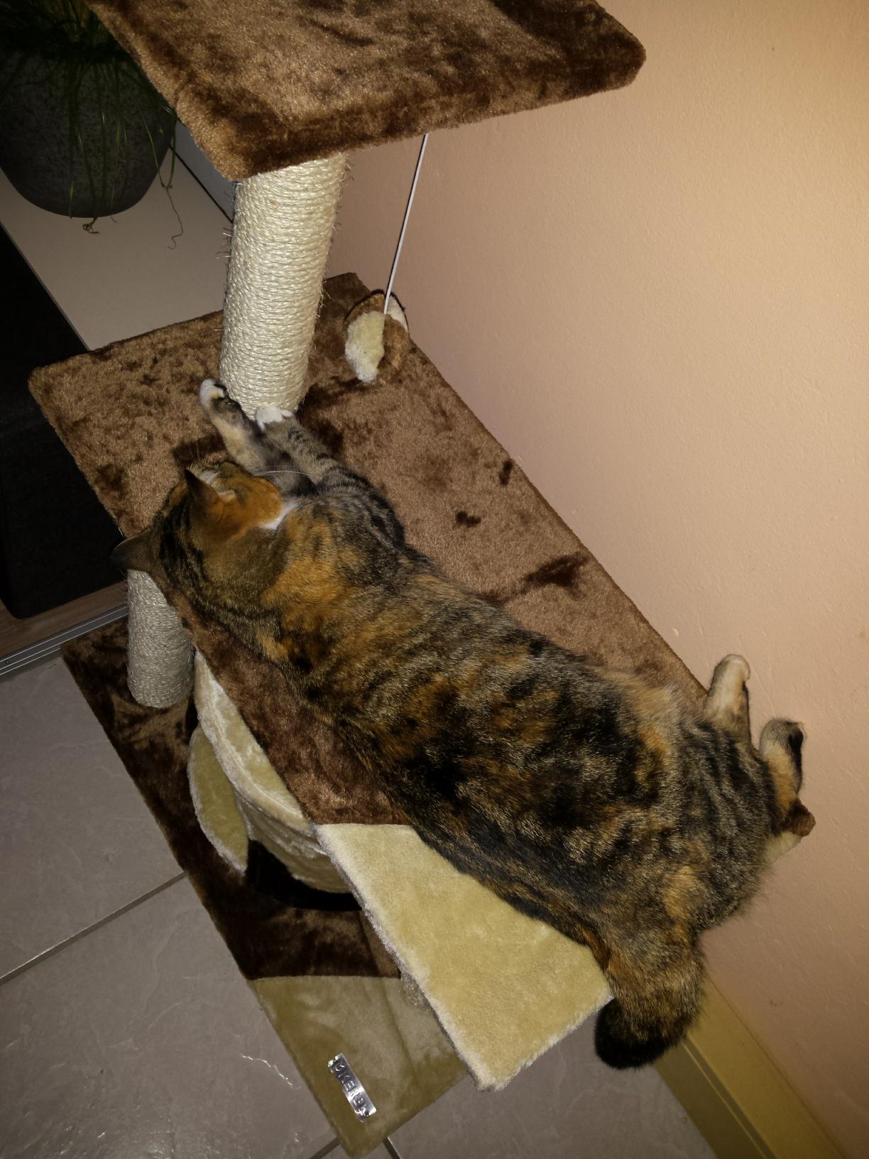 Instable pour gros gabarit