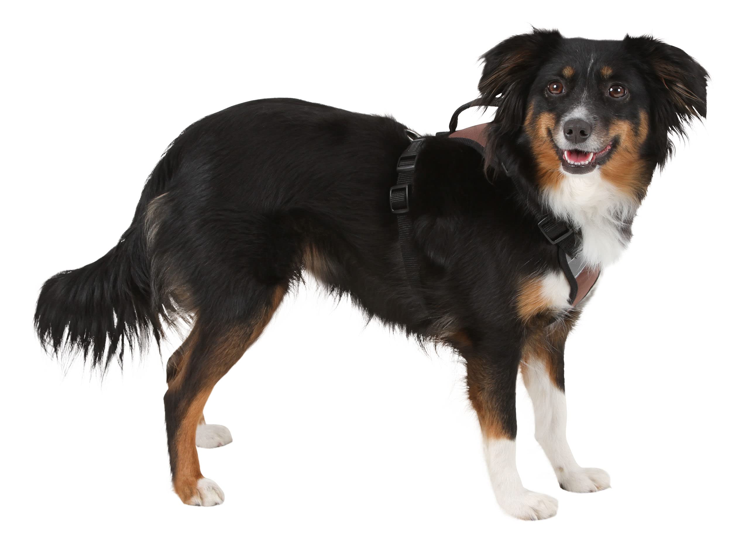 kerbl-pulsive-harnais-chien-r-glable-avec-bandes-r-fl-chissantes image 2