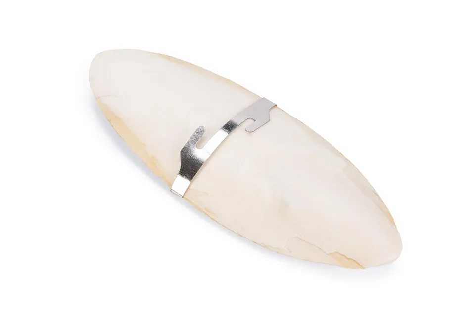 karlie-k-f-os-de-seiche-coquille-sur-carte-16-5-cm image 1