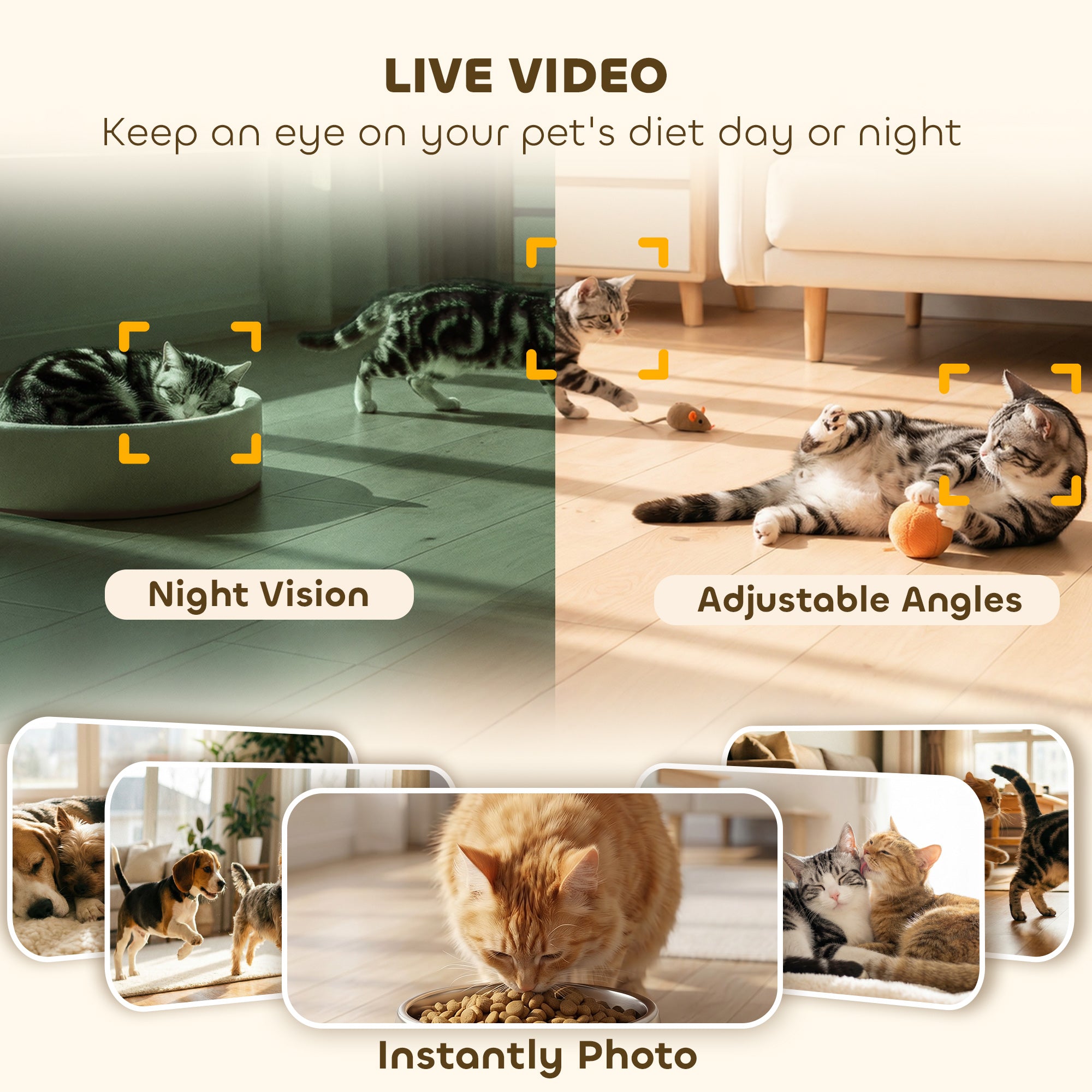 pawhut-distributeur-automatique-de-croquettes-pour-chat-avec-cam-ra-4l image 6