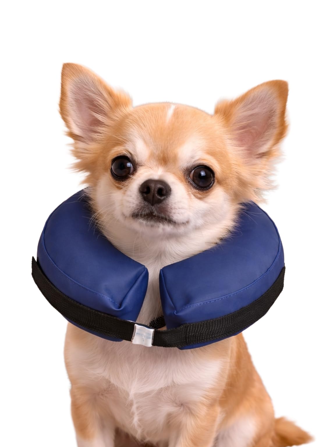 karlie-flamingo-collerette-gonflable-pour-chien-taille-xs image 1
