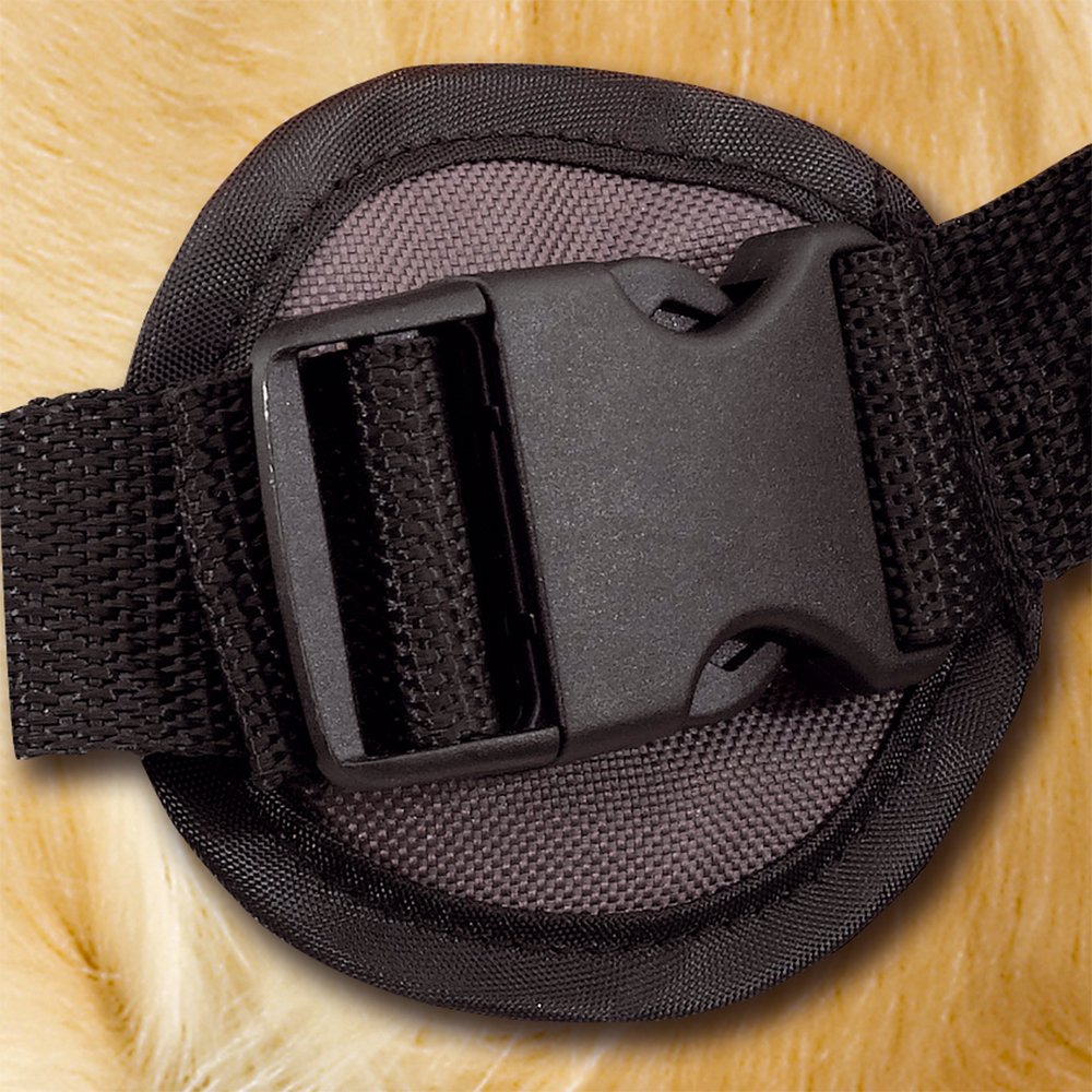 ferplast-dog-scout-sac-dos-pour-chien-moyen-grand-r-glable-r-fl-chissant image 5