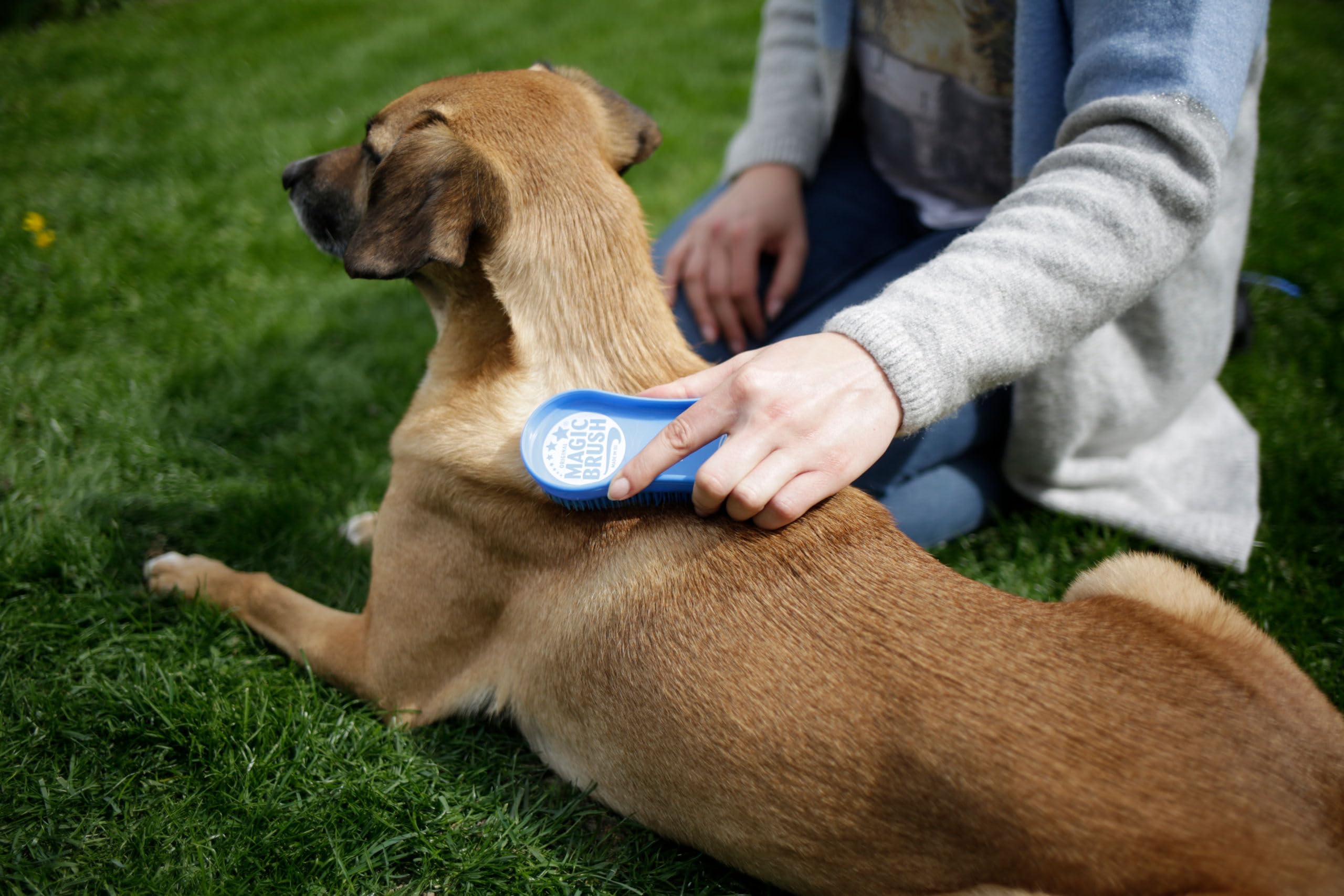 kerbl-magicbrush-brosse-pour-chien-bleu-ciel-poils-courts-moyens image 3