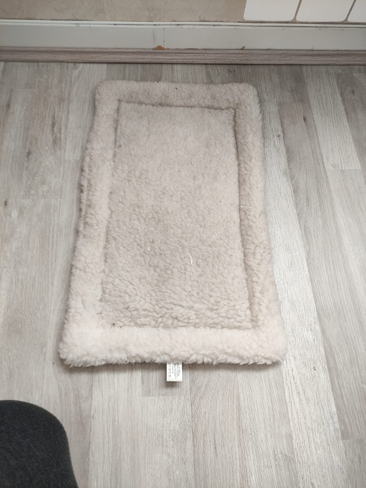 Adopté par ma chienne