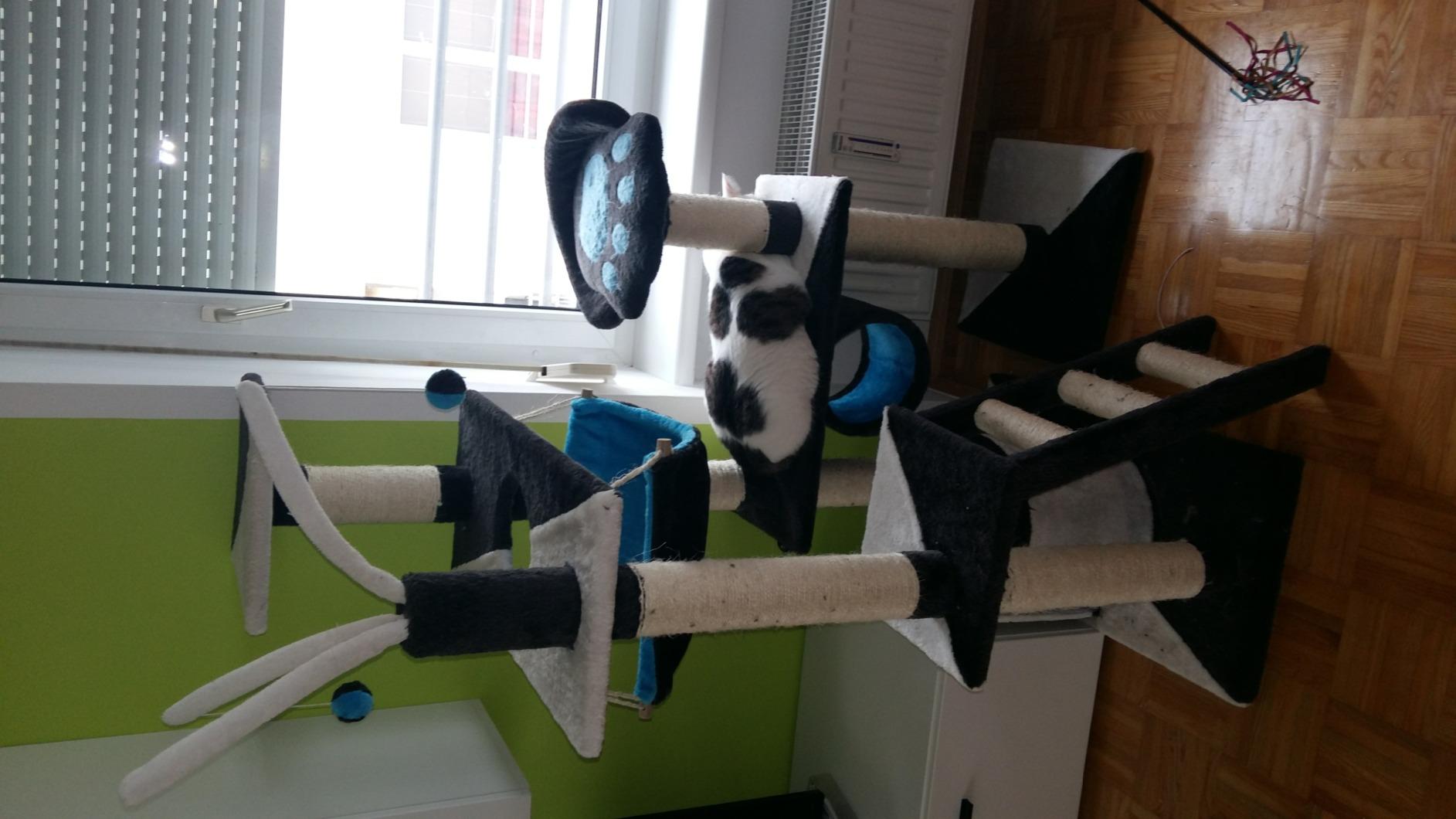 Palace pour chats