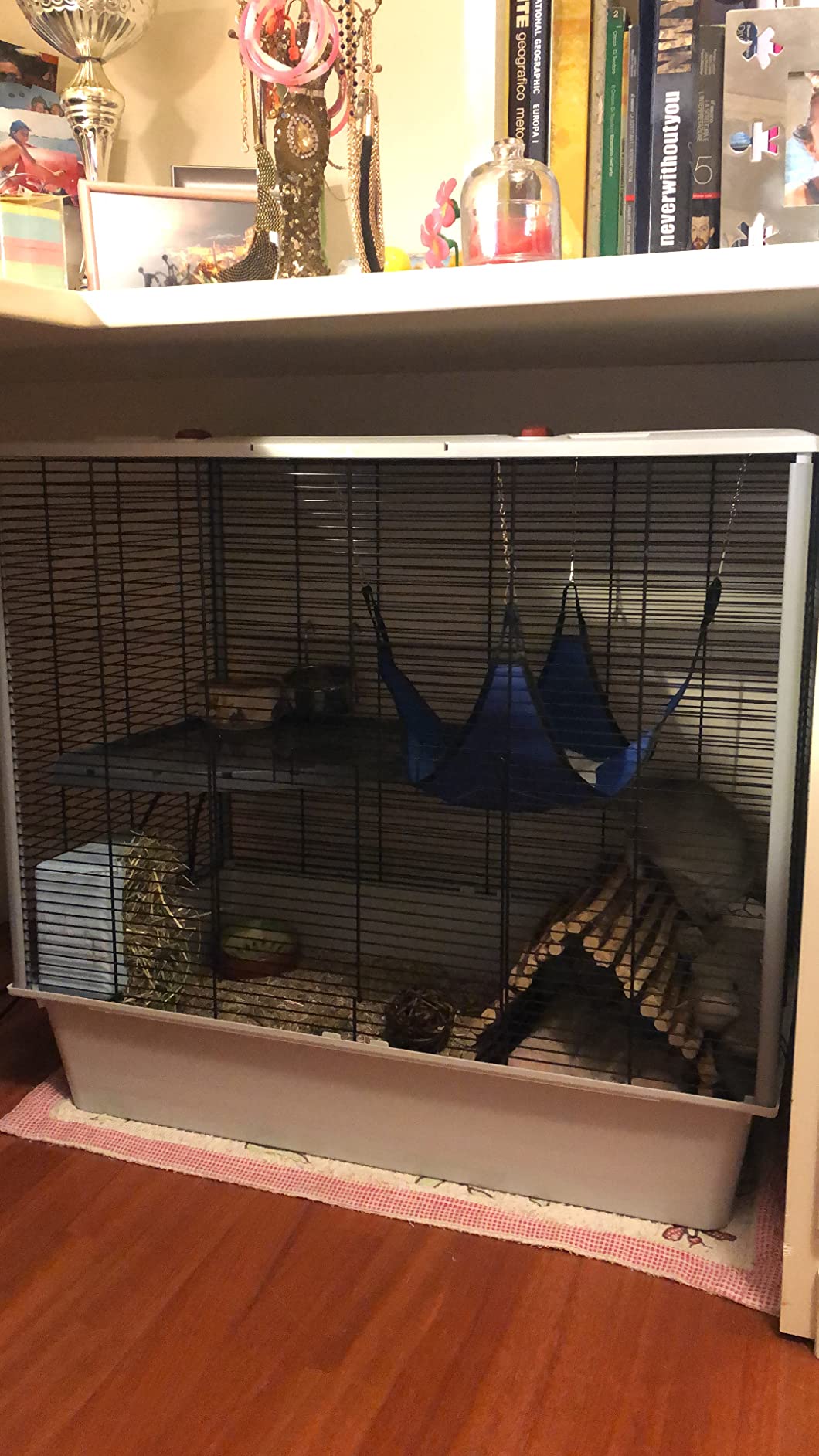 Palace pour mes rats