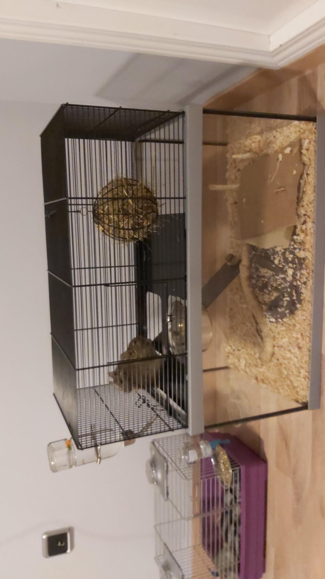 Habitat idéal pour débuter