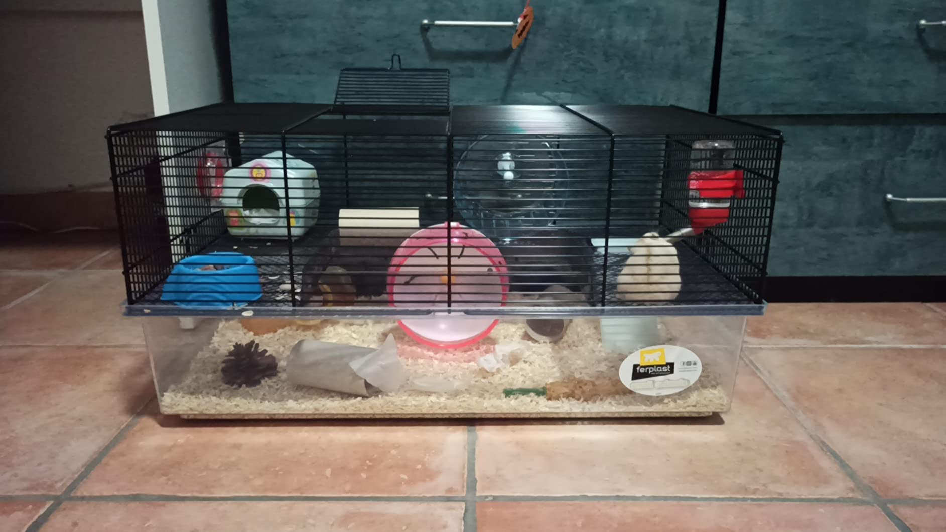 Parfaite pour notre hamster Néo
