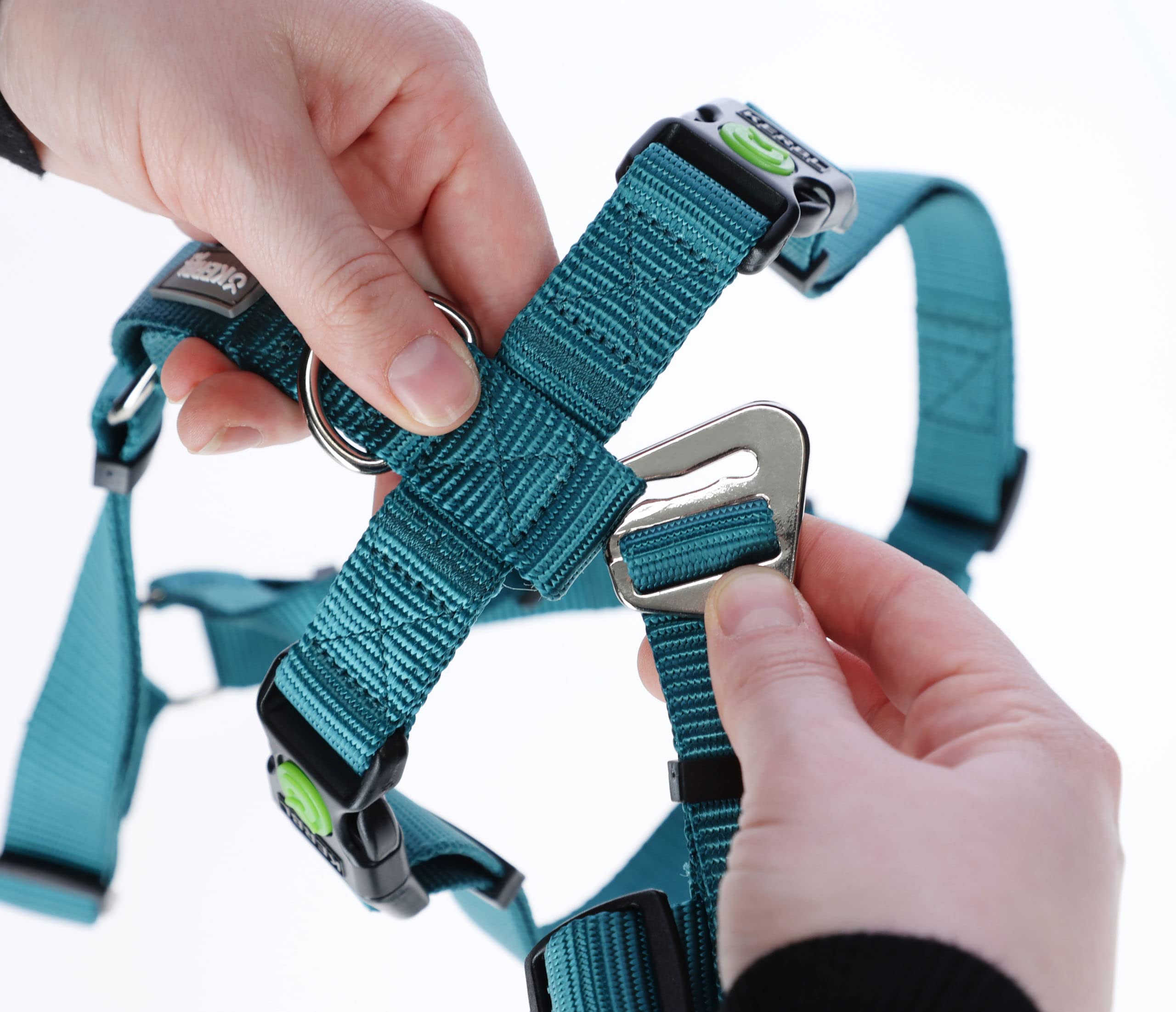 kerbl-pet-harnais-anti-panique-miami-p-trole-tour-de-cou-30-41-cm-sangle-15-mm image 3