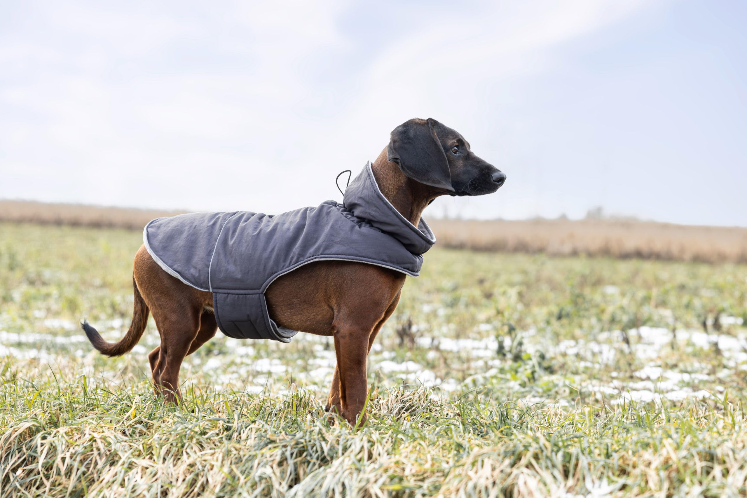 kerbl-pet-montr-al-manteau-imperm-able-pour-chien-taille-s-gris-35-cm-polyester image 5