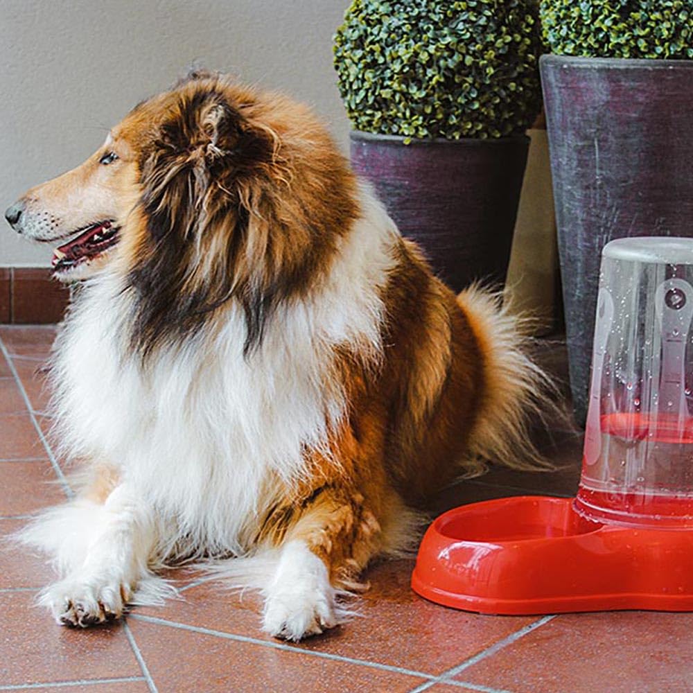 ferplast-azimut-3000-distributeur-croquettes-et-eau-pour-chien-et-chat-3-litres- image 3