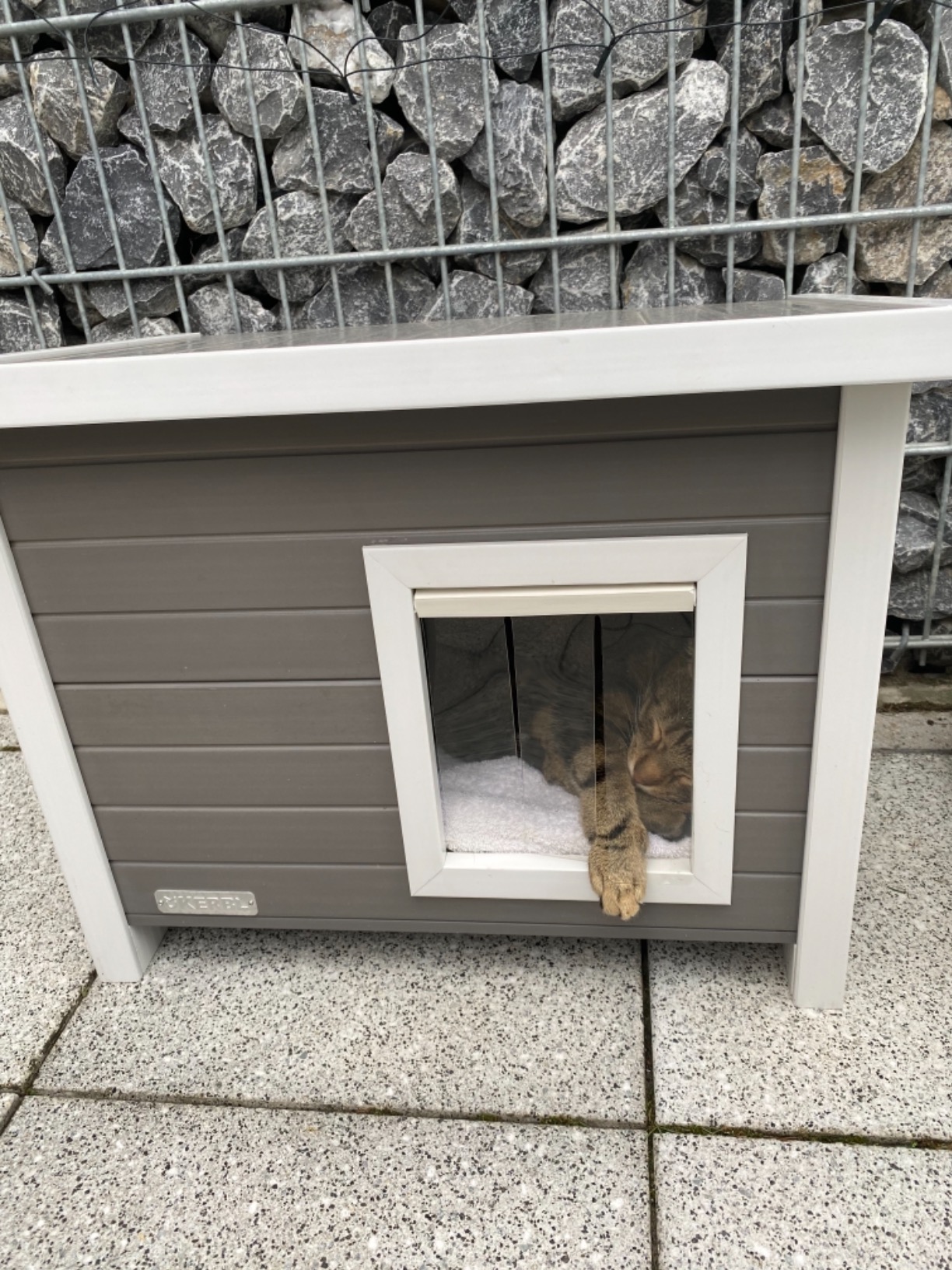 Adoptée immédiatement
