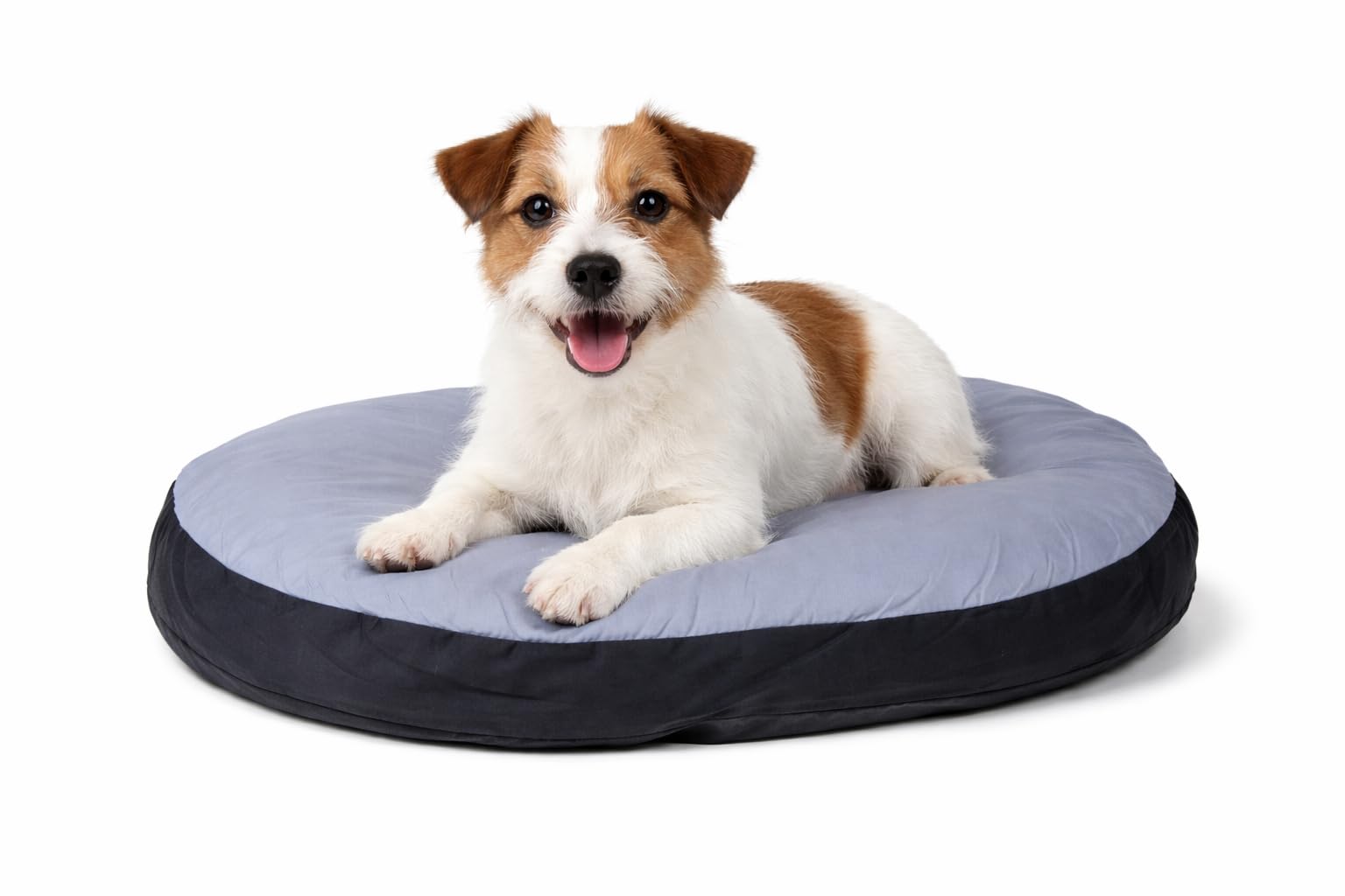 karlie-coussin-ovale-dog-bed-50-x-40-x-8-cm image 1