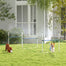 pawhut-kit-d-agilit-pour-chien-4-pi-ces-r-glable-avec-tuyau-d-eau-et-sac-de-tran image 3