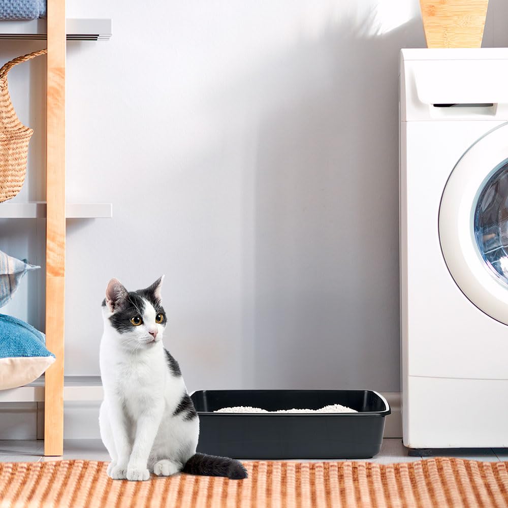 ferplast-nip-10-black-bac-liti-re-pour-chat-noir image 3