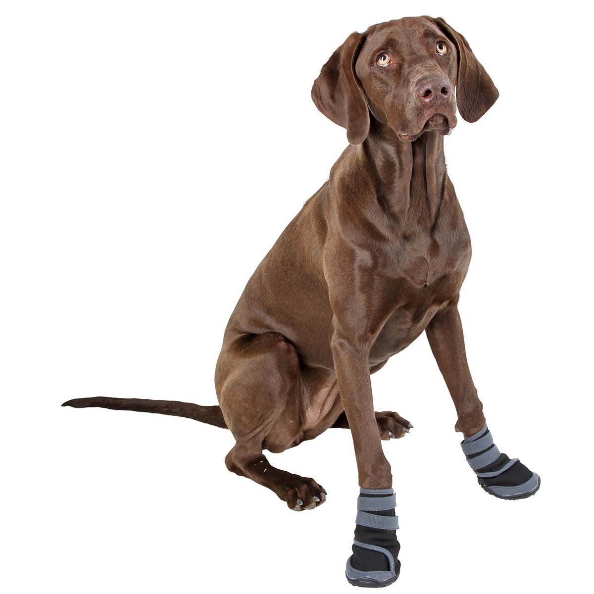 kerbl-active-protection-des-pattes-pour-chien-gris-noir-taille-xl-lot-de-2-botti image 2