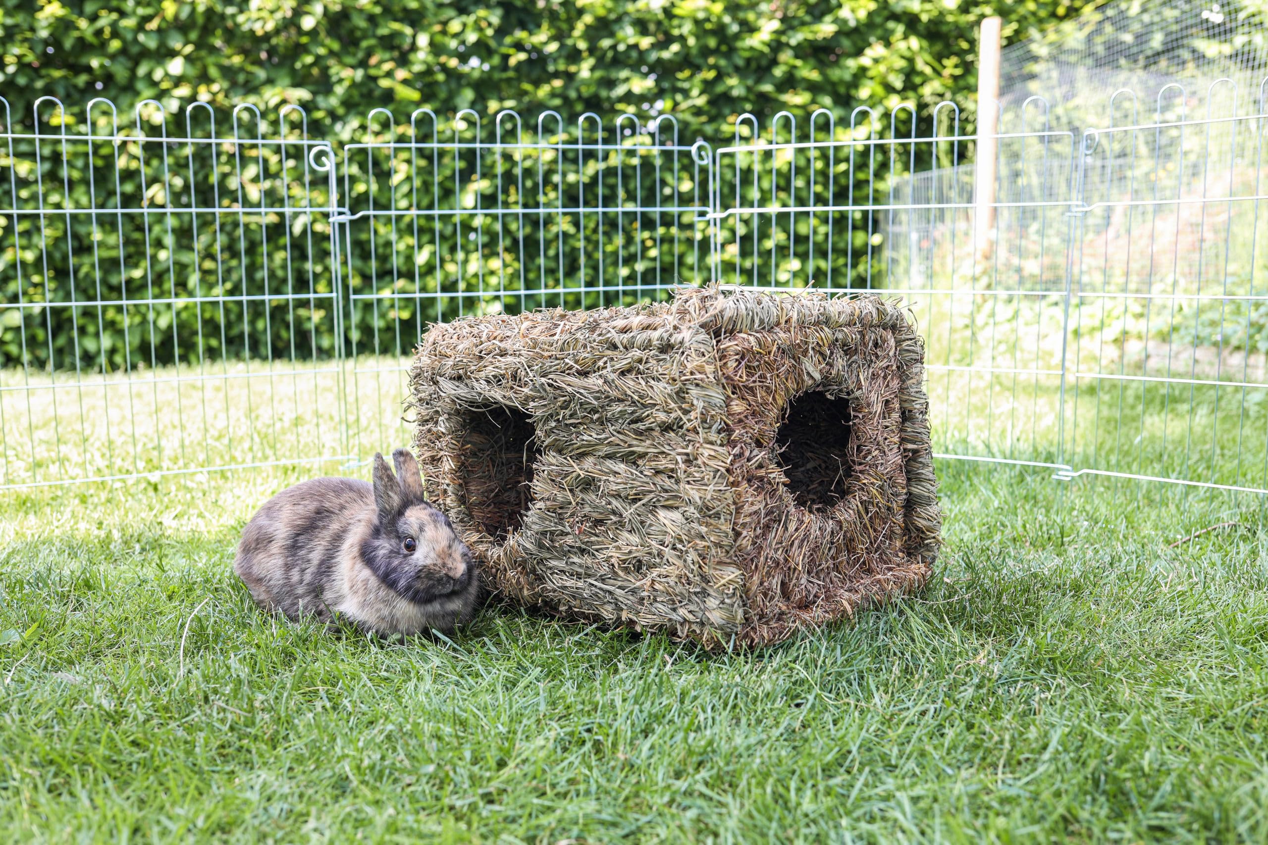 kerbl-82789-maison-en-herbe-xl-pour-petits-animaux-37x30x28-cm image 3