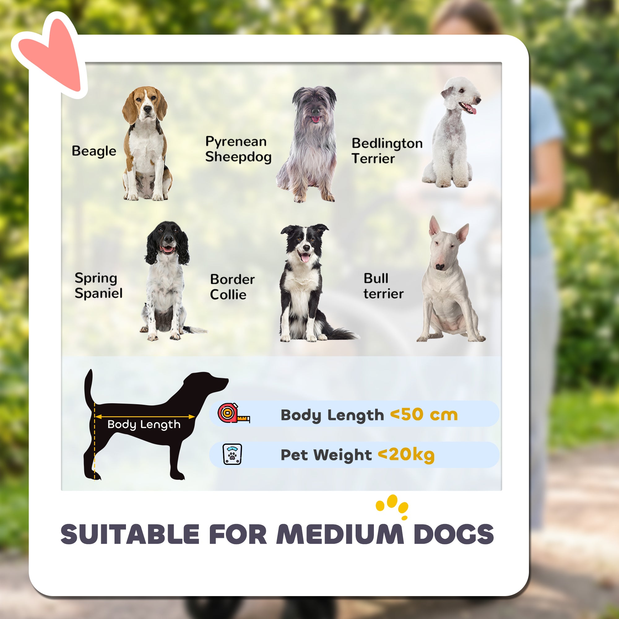 pawhut-poussette-chien-pliable-20-kg-amortisseurs-grise image 7