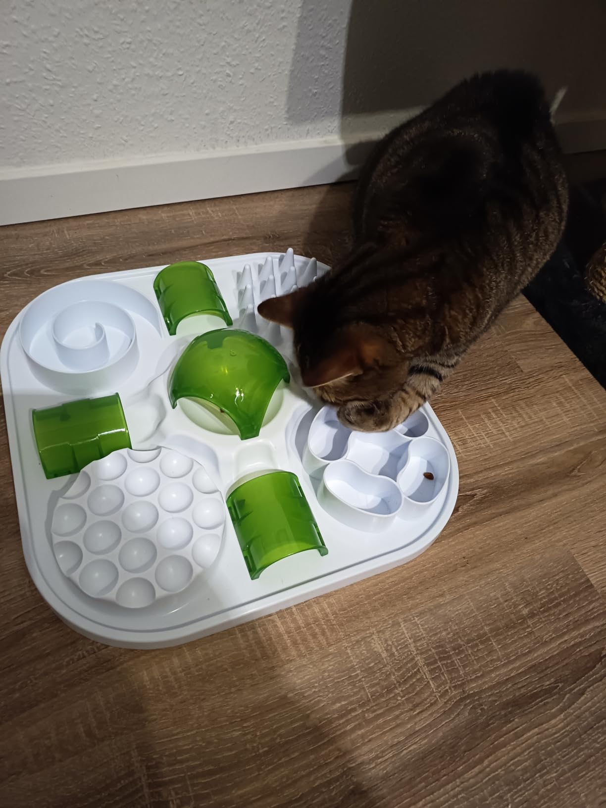 Super pour chat gourmand