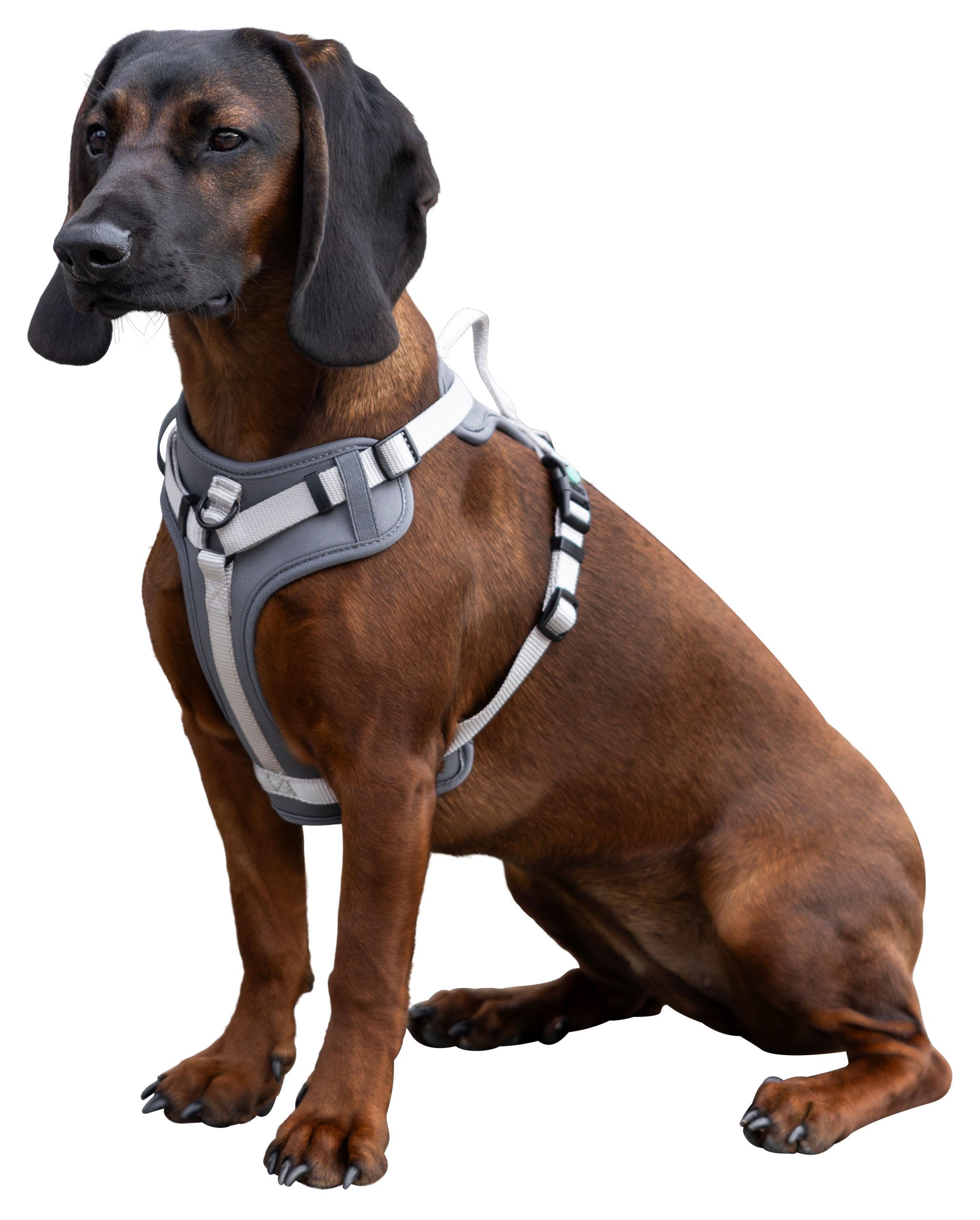 kerbl-pet-fitty-harnais-sportif-en-y-pour-chien-25-mm-x-50-85-cm-gris-beige-nylo image 3