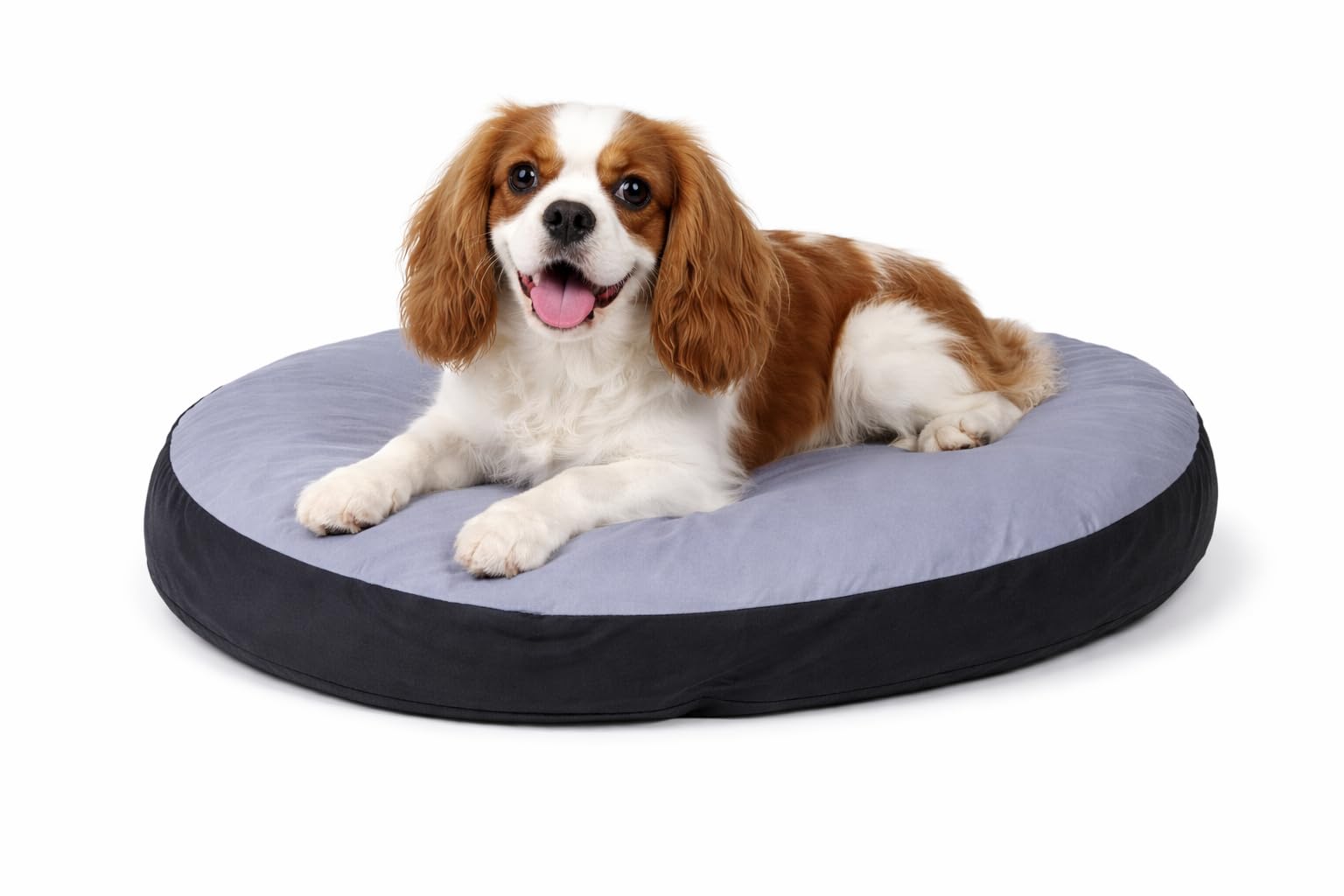 karlie-coussin-ovale-dog-bed-50-x-40-x-8-cm image 7