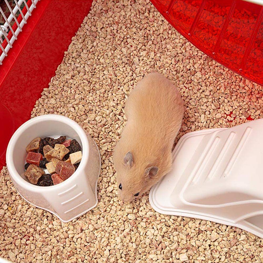 ferplast-coney-island-grande-cage-hamster-et-souris-avec-grande-roue-et-accessoi image 5