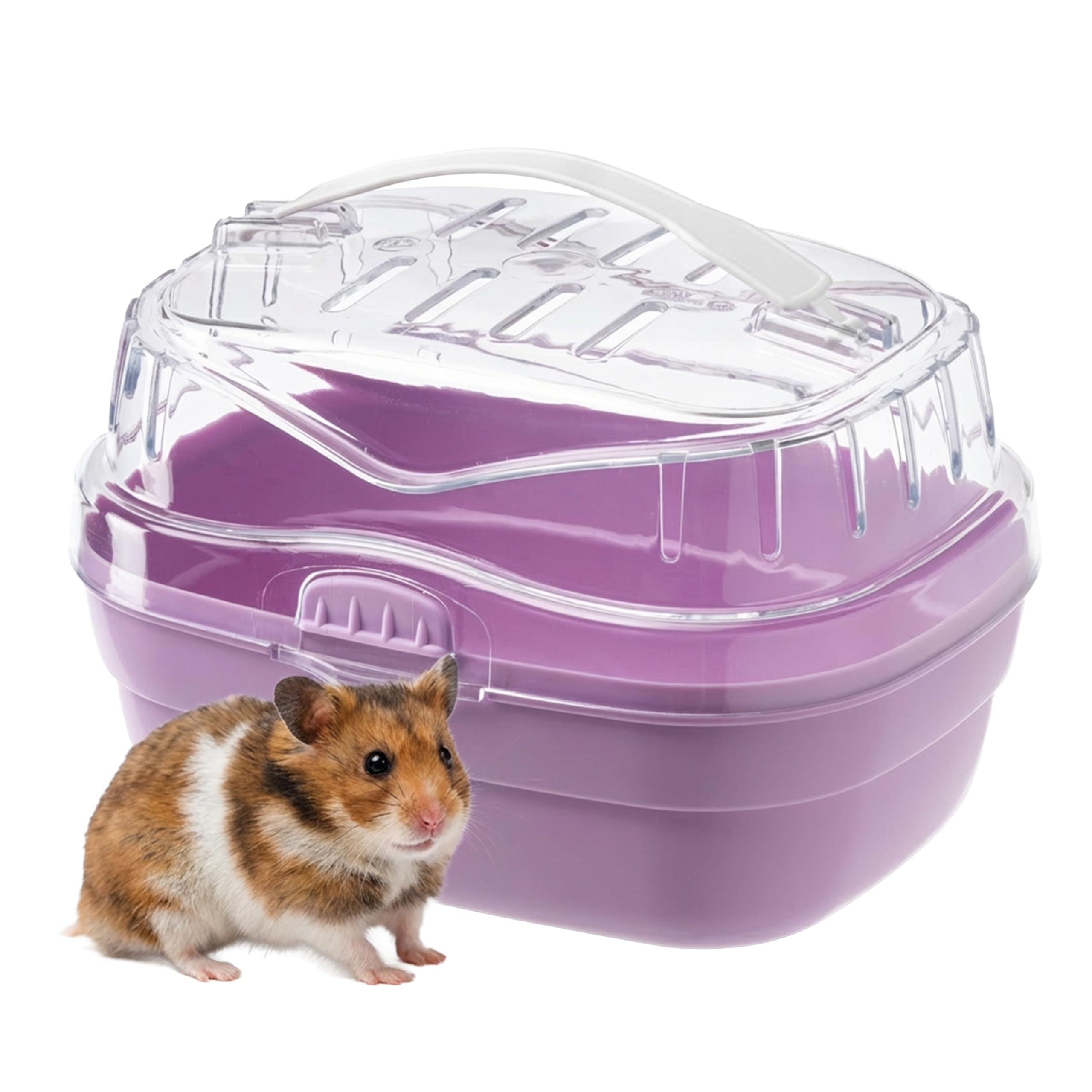ferplast-aladino-small-cage-transport-hamster-20-x-16-x-h-13-5-cm-fuchsia image 1