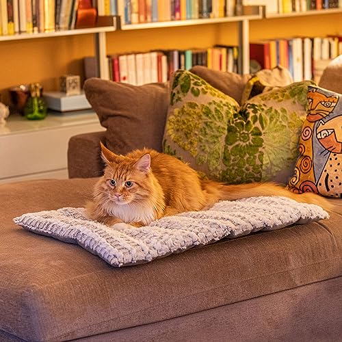 ferplast-vanilla-coussin-chien-et-chat-double-face-tourterelle-61-x-46-x-5-cm image 8