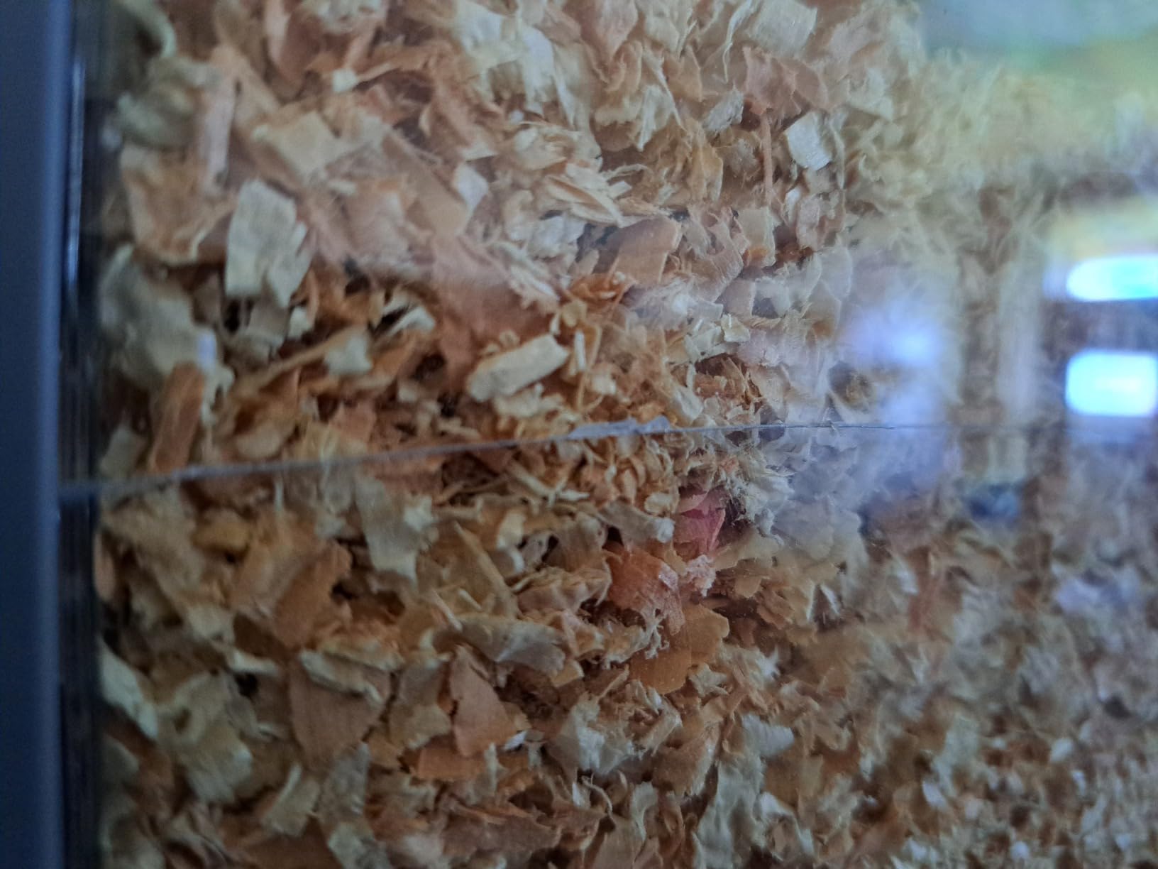 Montage facile et hamster ravi