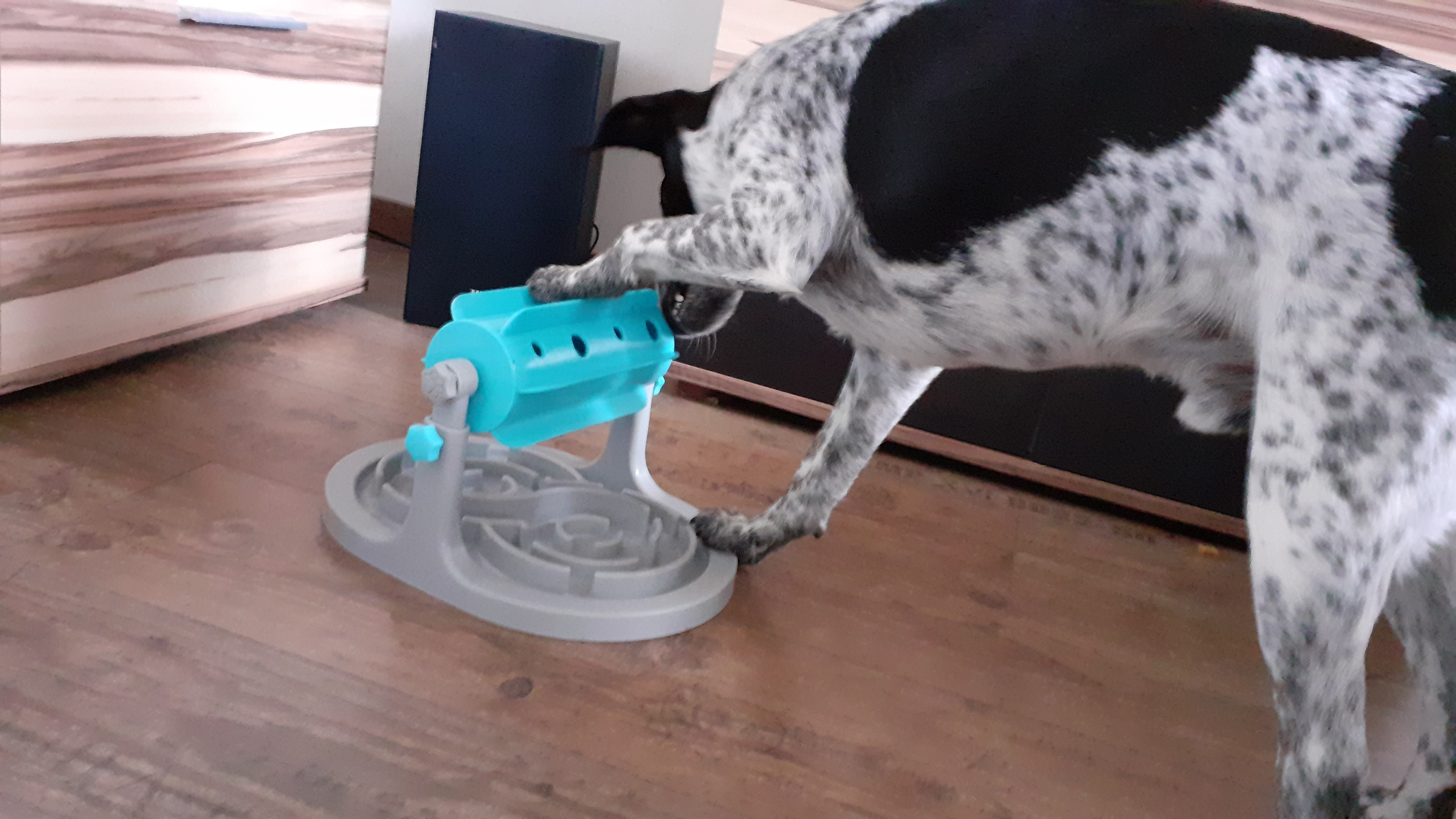 Occupe bien mon chien