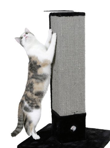 kerbl-pet-4-corner-arbre-chat-noir-48x48x80-cm-bois-peluche-sisal image 5