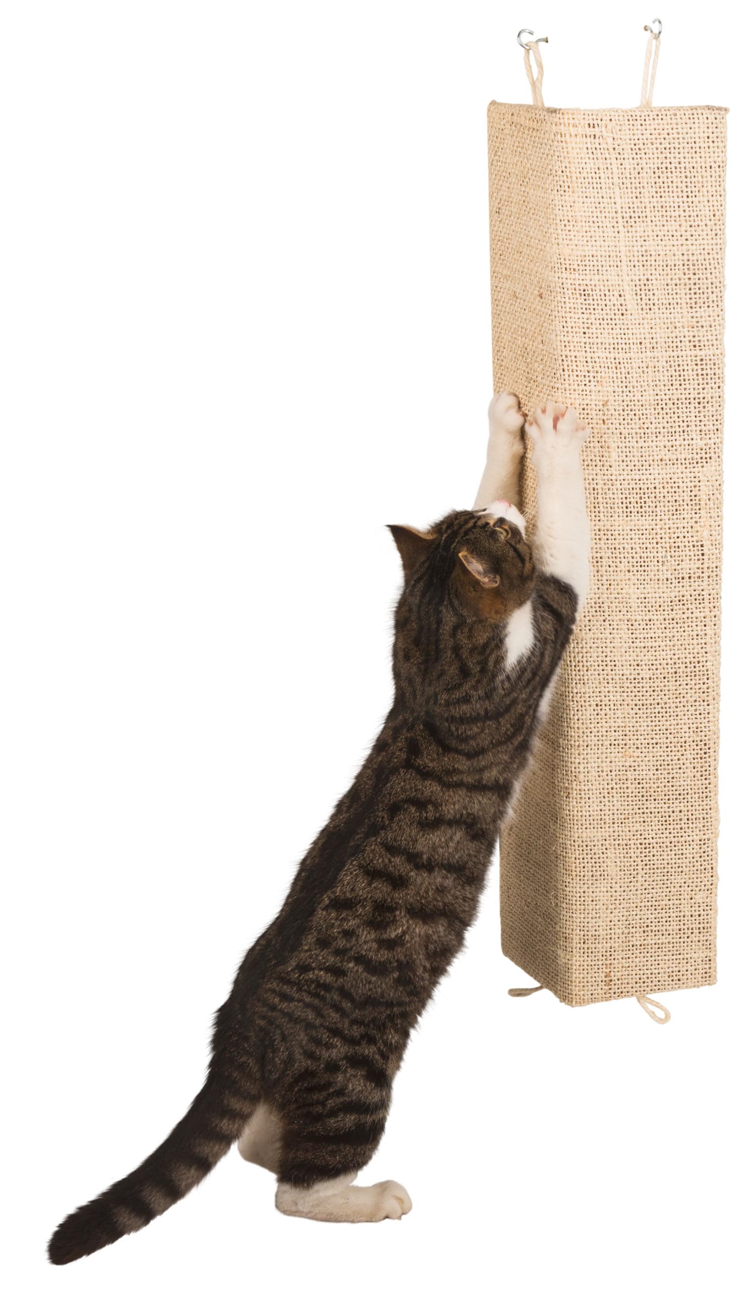 kerbl-planche-gratter-kevin-sisal-100-x-56-cm-beige-griffoir-mural-pour-chat image 2